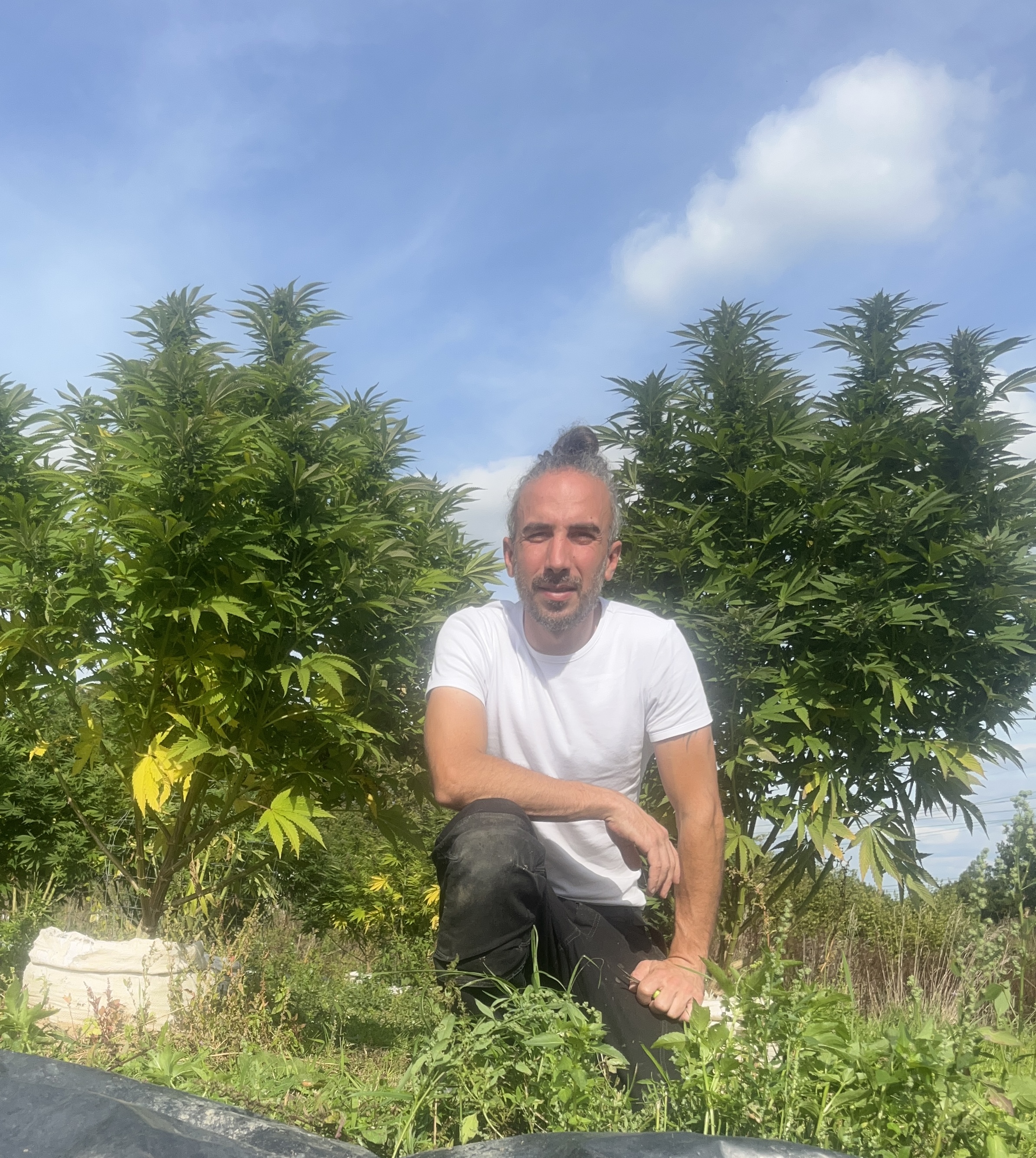 Cultures de la saison - photo 1