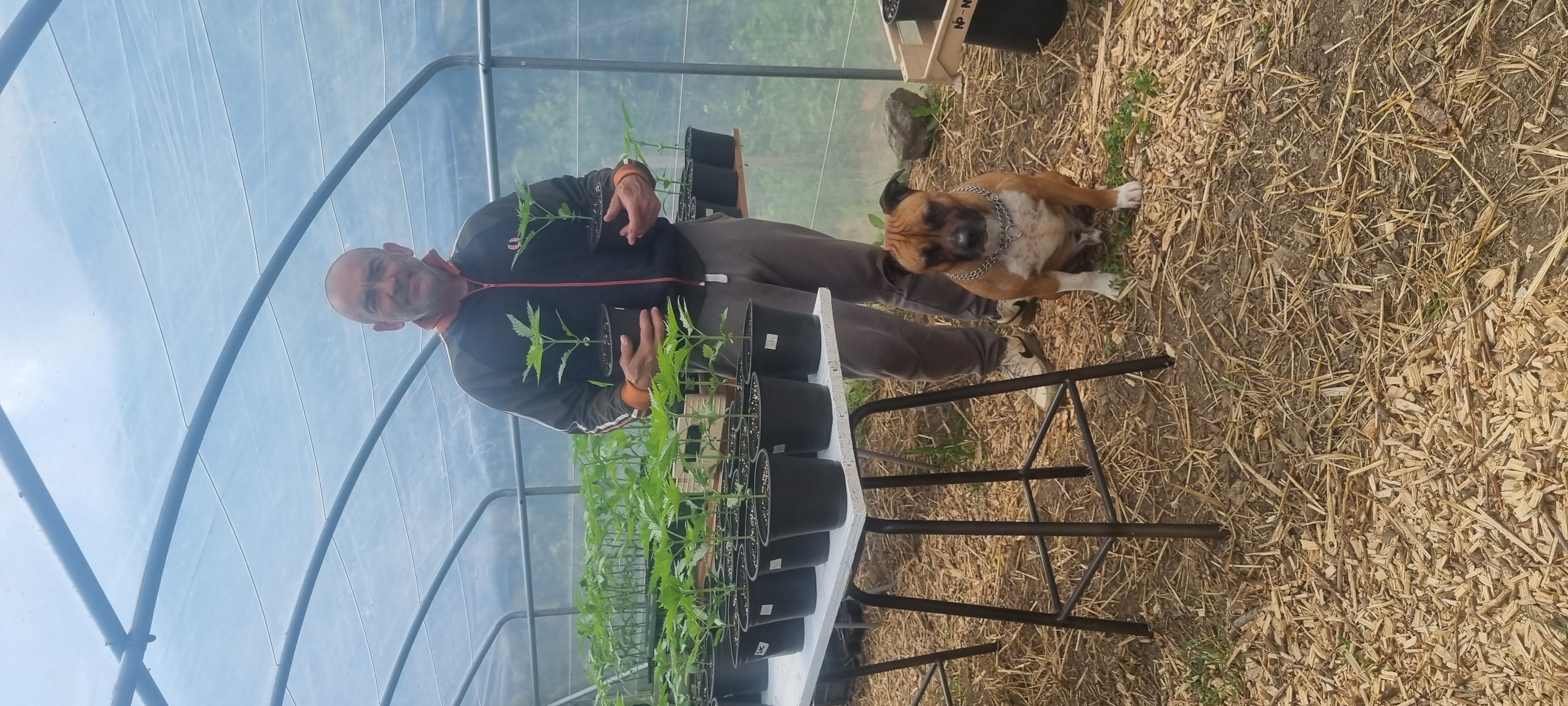 La Ferme Chanvrière des Cévennes