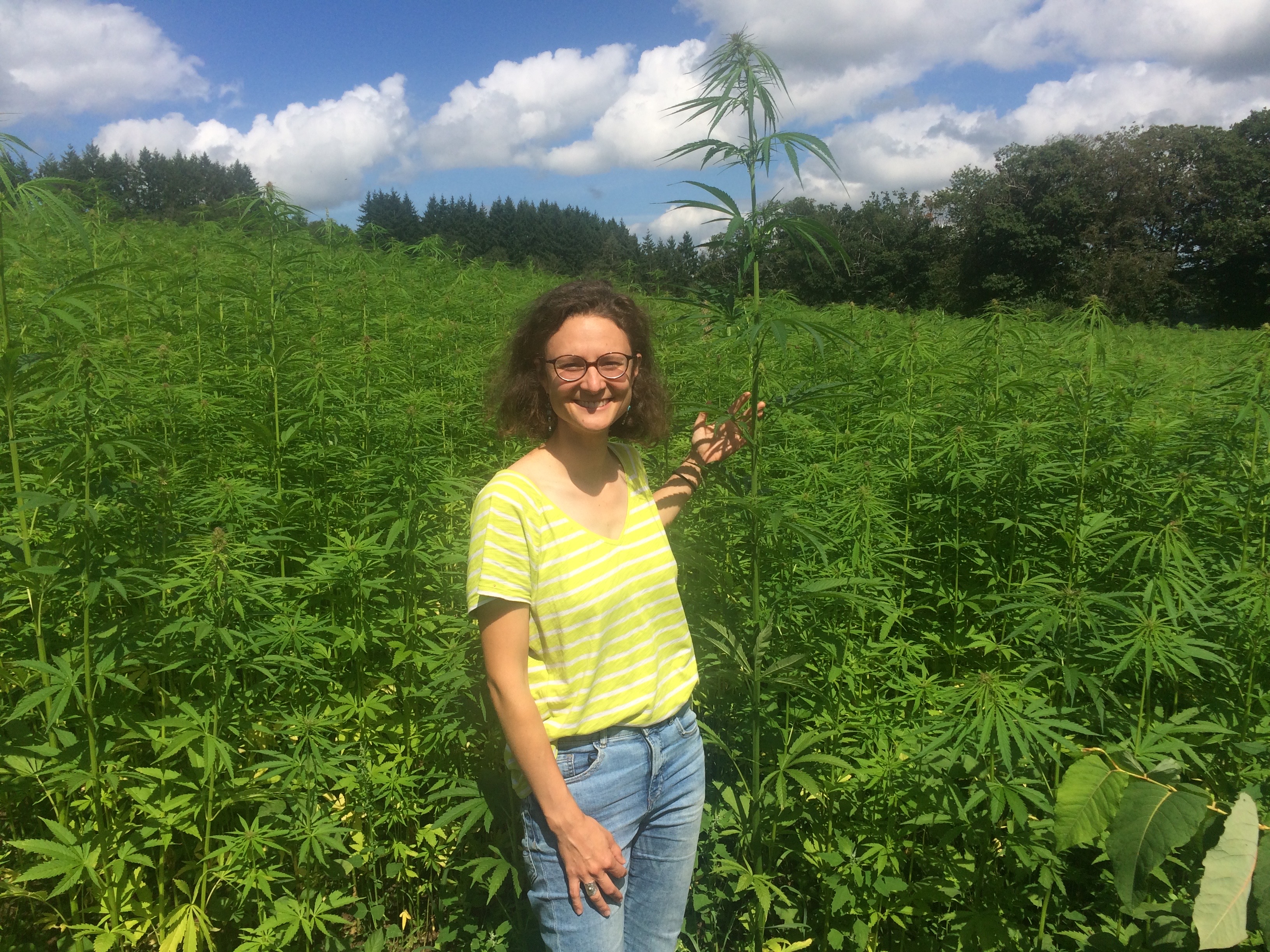 Les Chanvrières du Beaujolais
