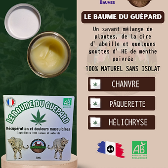 Baume du Guépard - photo 1