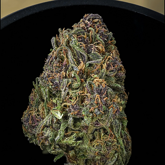 Ultra Pink - photo 1