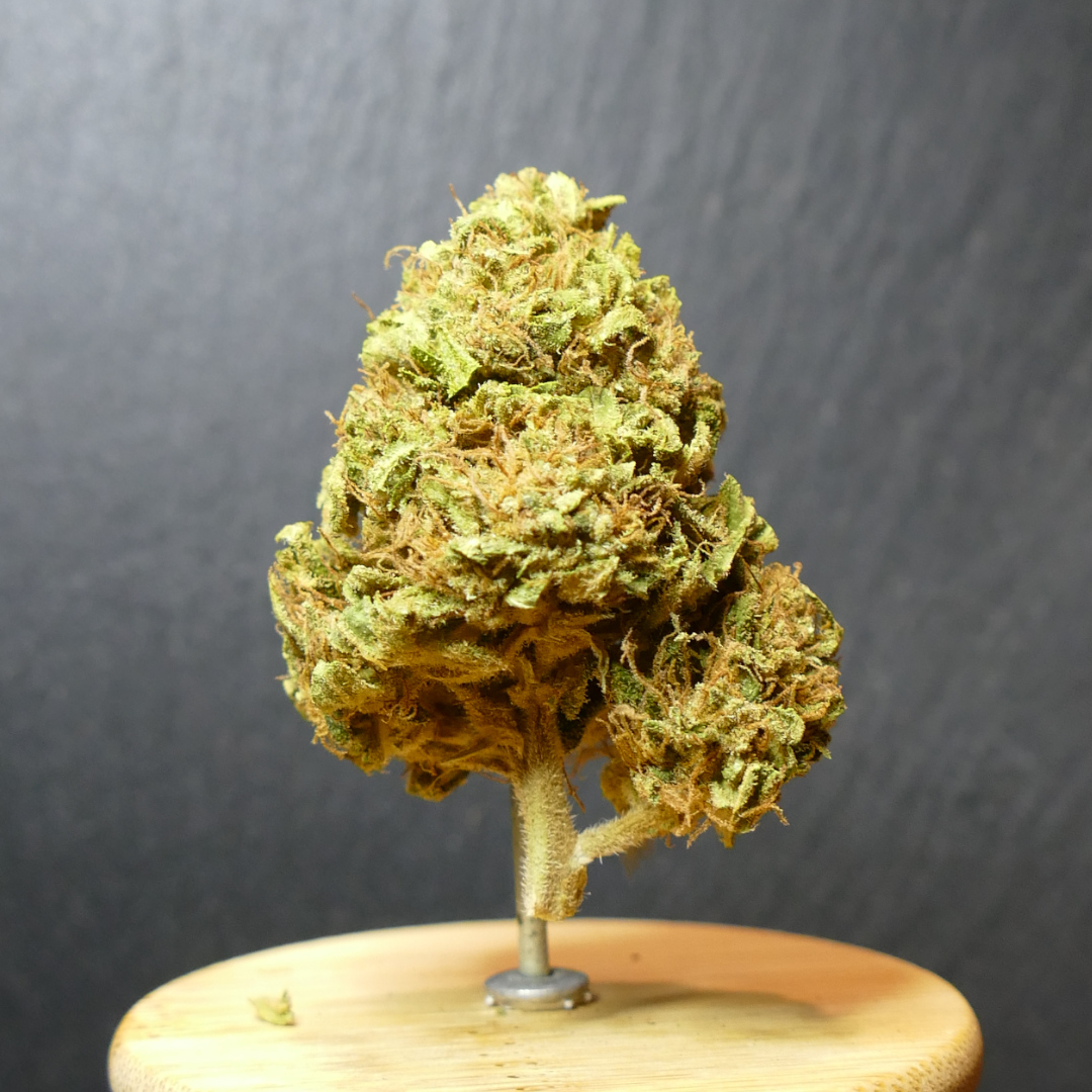 Sour Lifter - photo 1