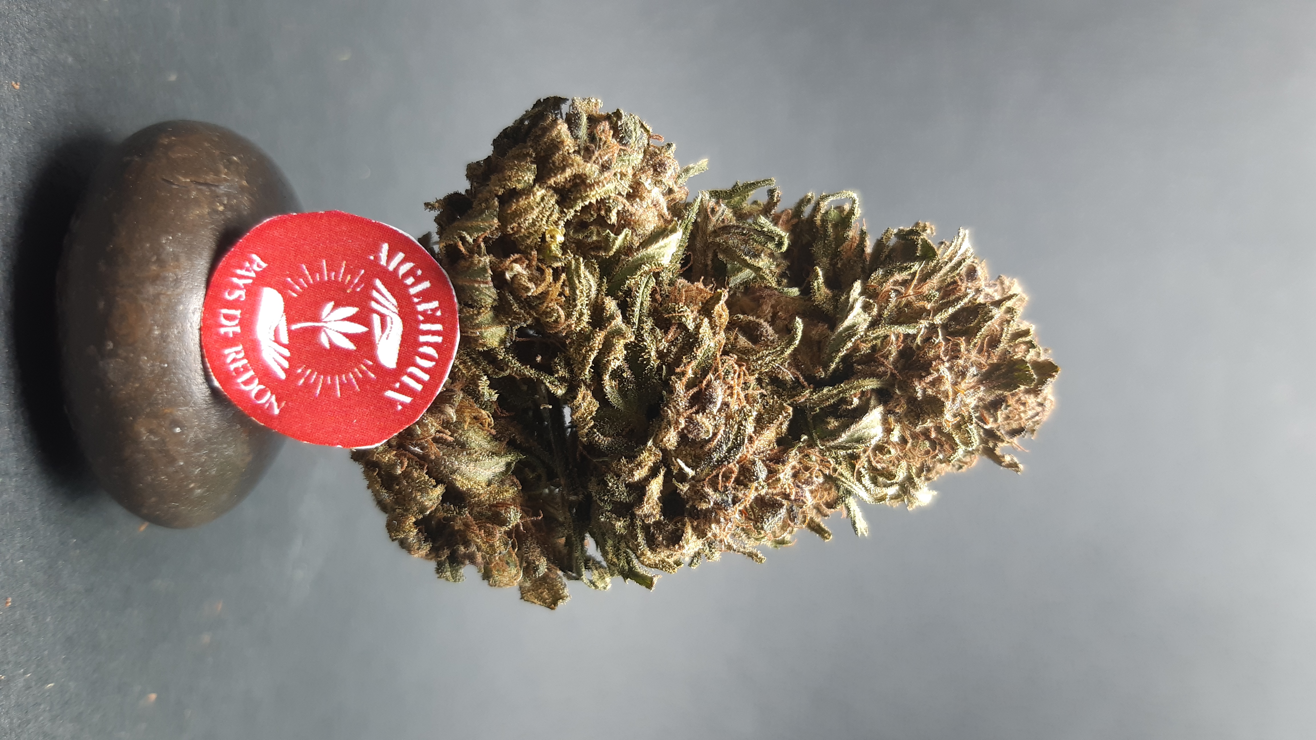 Pink Pineapple Diesel