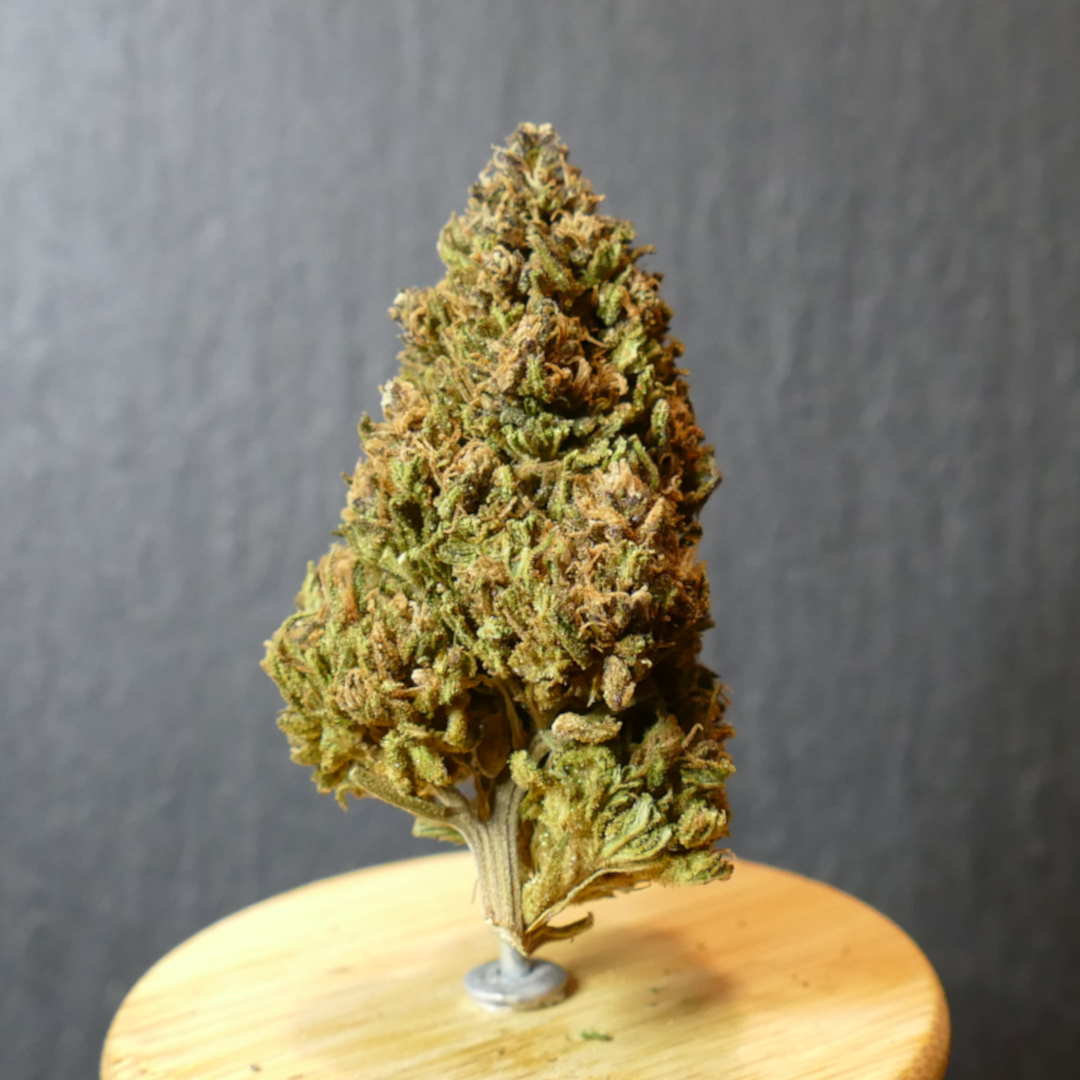 Abacus 2.0 - photo 1