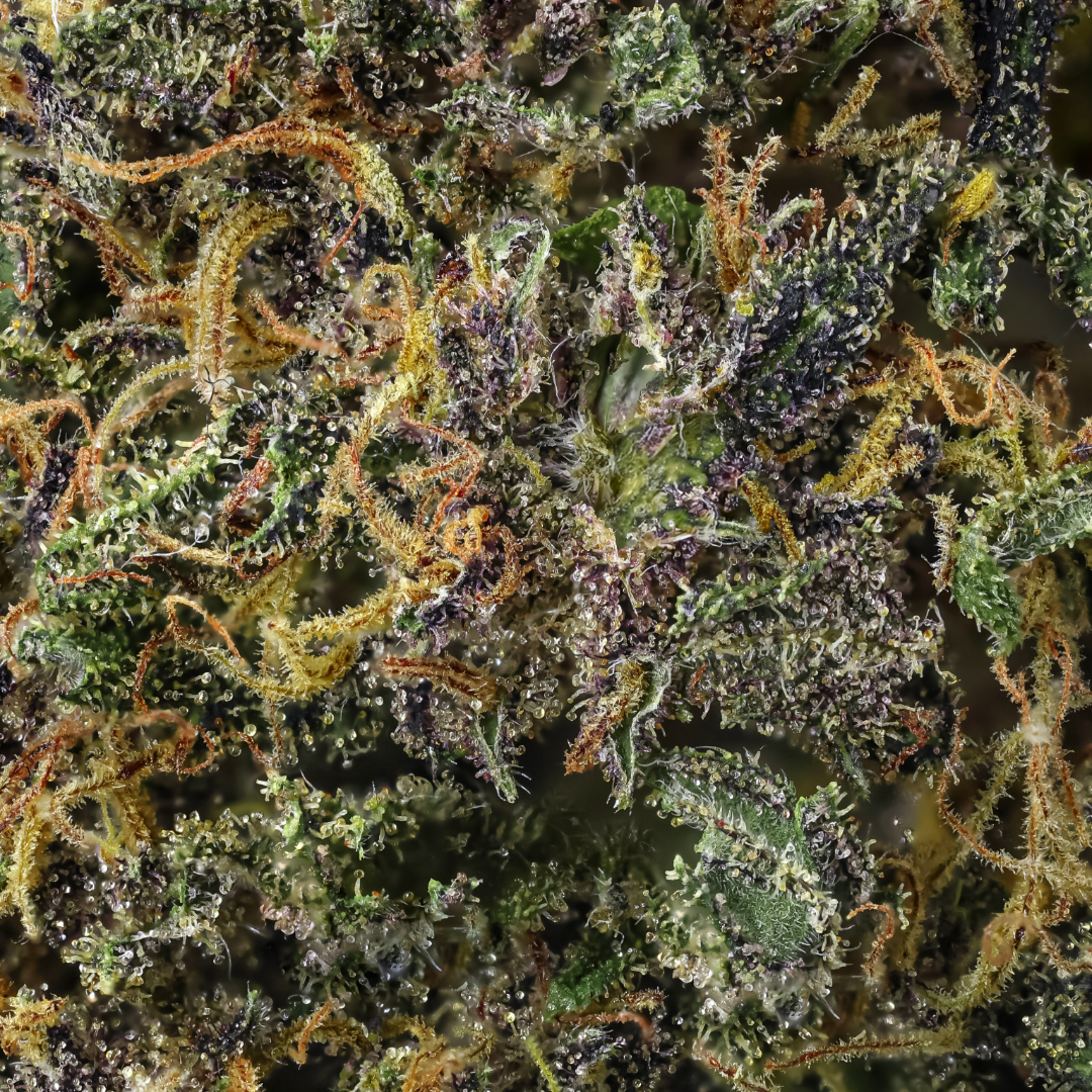 Tropical Ultra Premium Vrac G - photo 2