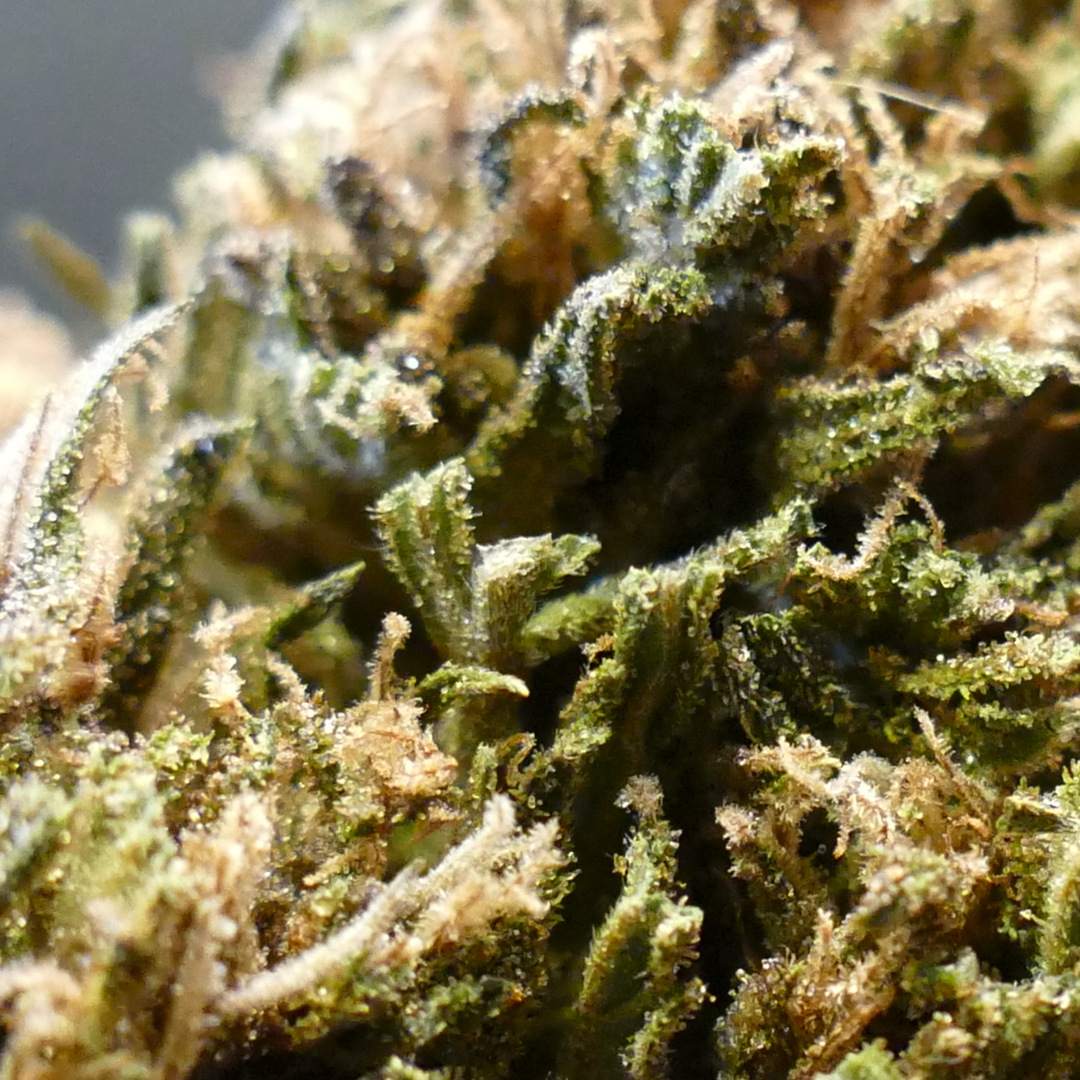 Abacus 2.0 - photo 2