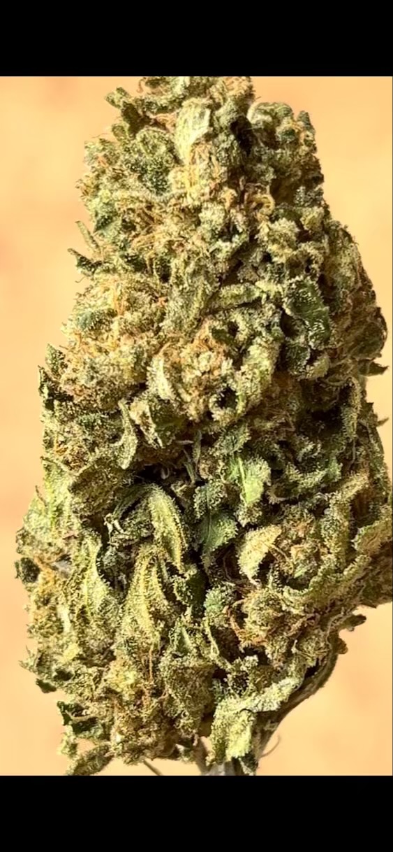 Cream Strawberry Vrac G - photo 2